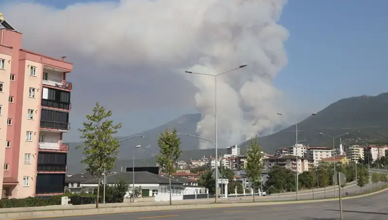 Denizli’de Çıkan Şiddetli Orman Yangını: Bir Şüpheli Gözaltında