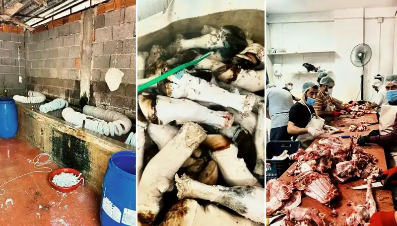 Adana'da Şok Edici Paça Yakalama Operasyonu: Yüzlerce Kilo Ele Geçirildi