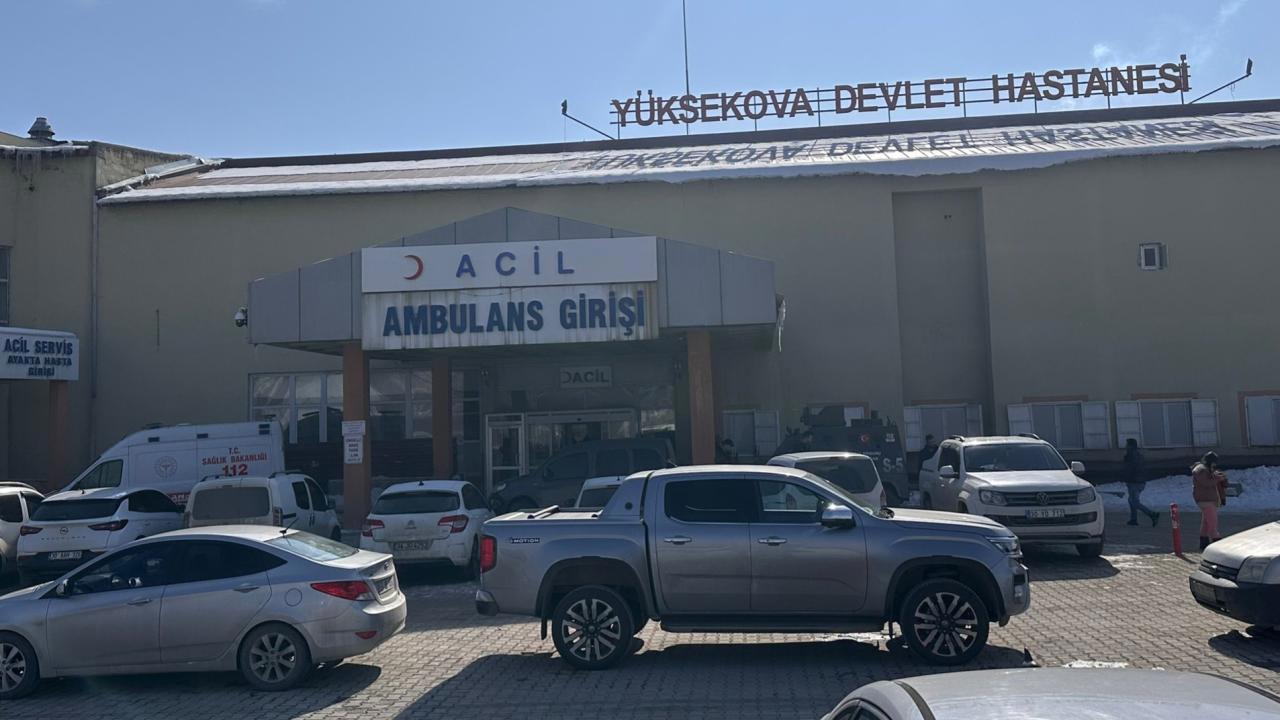 Hakkari'de Köpek Saldırısında Hayatını Kaybeden Çocuğun Acı Ölümü