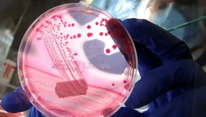 Bilim İnsanlarından Yaşlanmayı Unutturan AP2A1 Proteini Keşfi