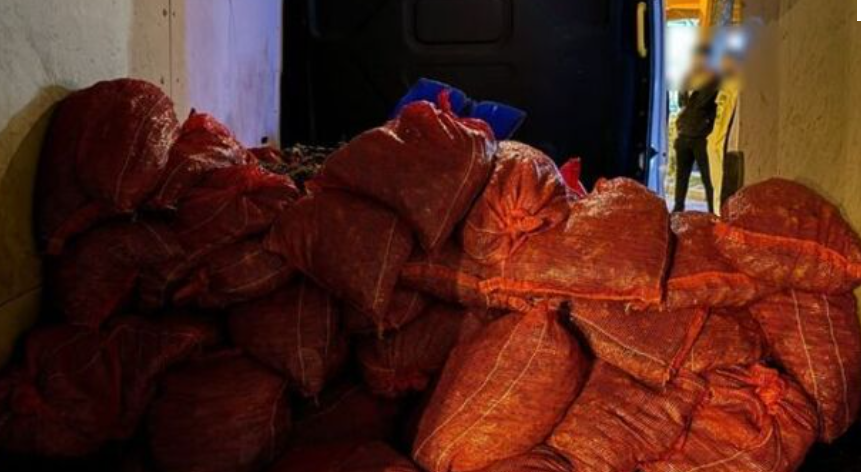 Kadıköy'de 150 çuvalda kaçak midye ele geçirildi