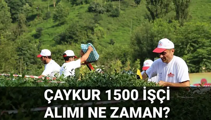 Çaykur İşçi Alımı Başvuru Tarihleri Açıklandı: Son Durum Nedir?