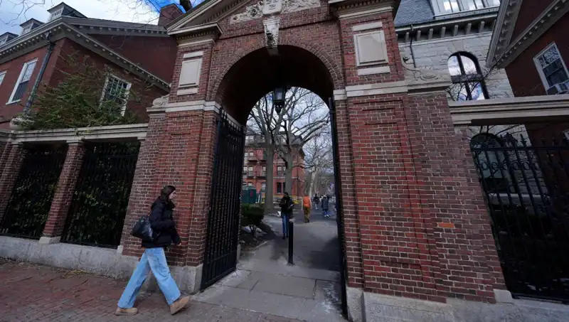 Harvard Profesörleri, Trump Yönetimini Hukuksal Mücadeleyle Zorluyor