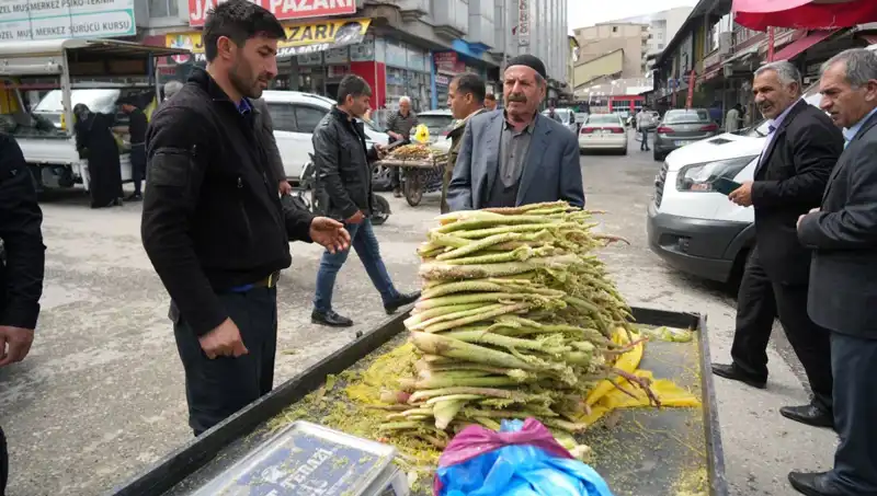 Dağlık Alanlarda Yetişen Şekerin Sağlık Faydaları ve Pazardaki Yeri