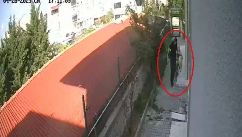 Veteriner Doktor, Sahiplendiği Köpekleri Neyle Parçaladı? Kabul Edilemez Vakada Tutuklandı!