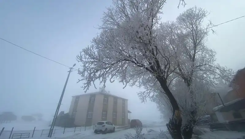 Soğuk Hava Dalgası: Göle eksi 18 Dereceyi Gördü!