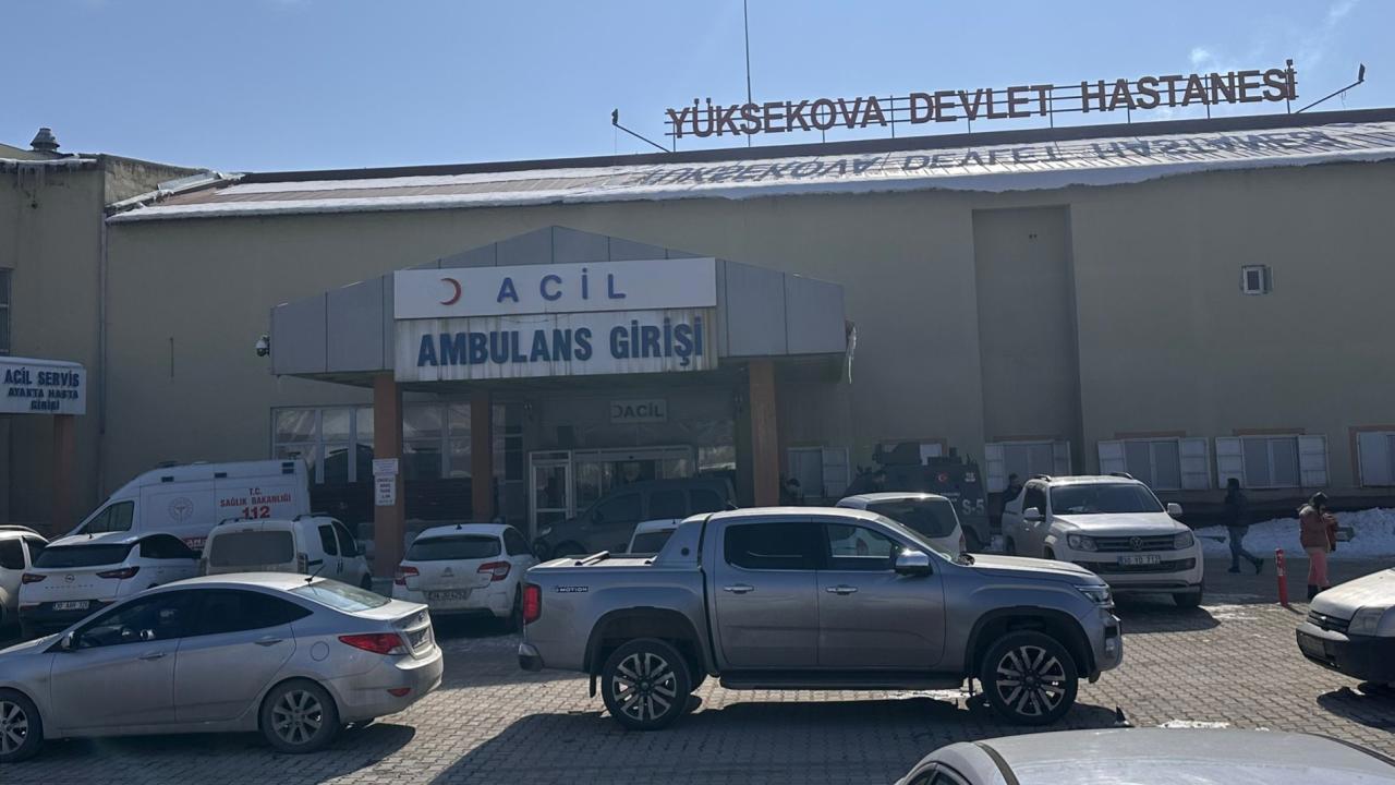 Müfettiş, başıboş köpeklerin saldırısında ölen çocuğun ölümü için soruşturma başlattı.