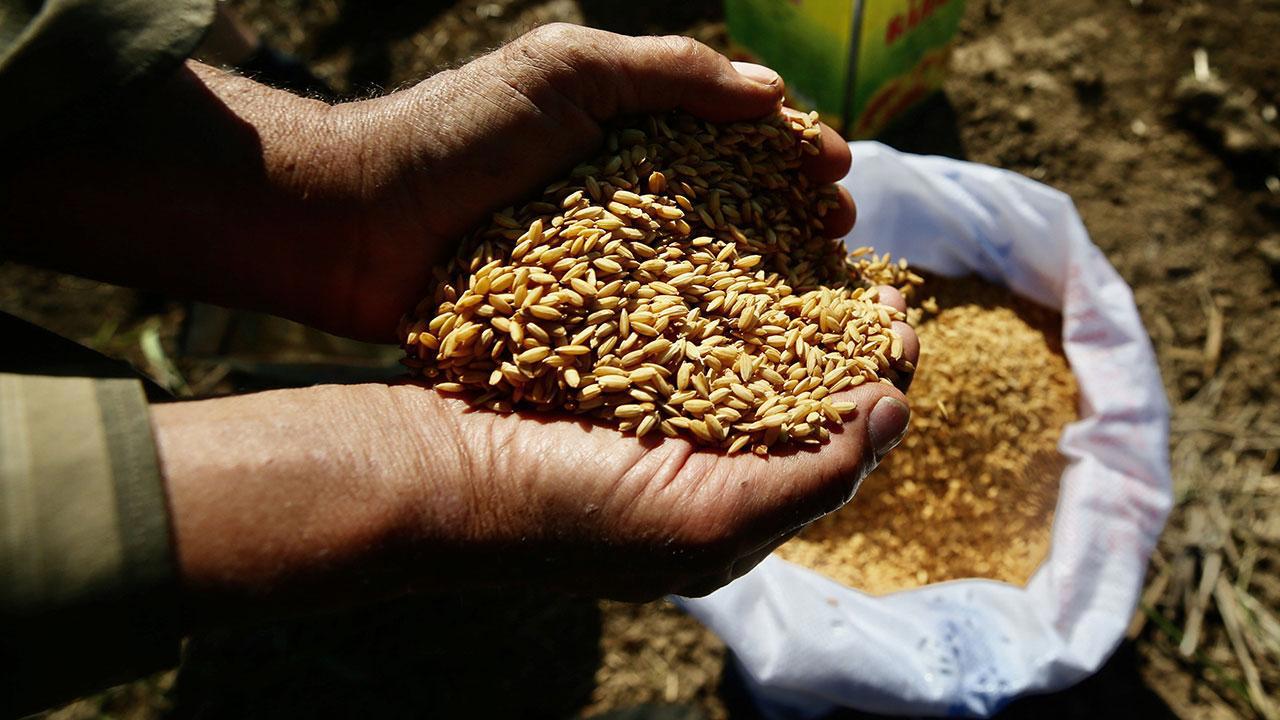Tarım Kredi Marketlerinde Artık Ata Tohumları da Satışta