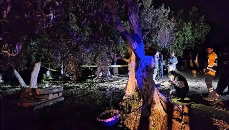 Çiftlikte Baltalı Vahşet! Soruşturma Derinleşiyor, Bir Tutuklama Gerçekleşti