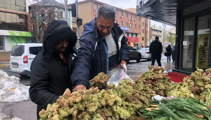 Kendiliğinden Yetişen Bu Bitki, Kanserle Savaşta Umut Vadediyor!