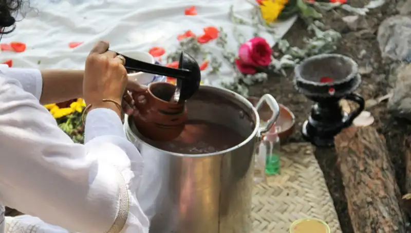Ayahuasca: Gelenekten Modern Tıbba Uzanan Gizemli Yollar