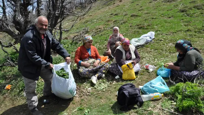 Yürüyerek Topladıkları Ürünler, Ailelerin Geçim Kaynağı Oluyor