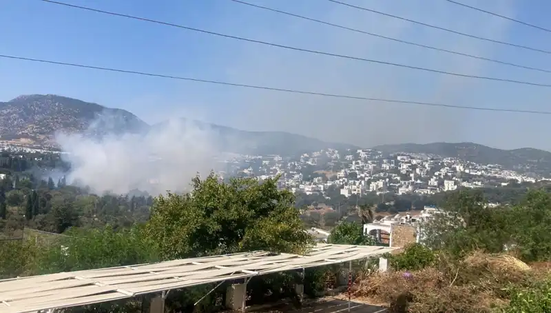 Muğla'daki Orman Yangınları Kontrol Altında: Son Durum ve Alınan Önlemler
