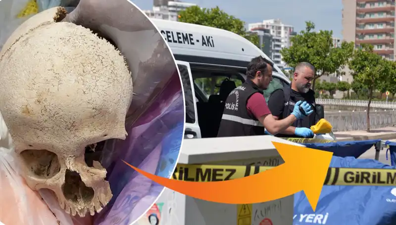 Sitenin Çöp Alanında Bulunan Kafatasının Gizemi: Uzman Doktor Gözaltında!