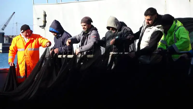 Denizlerde Hamsi Popülasyonu Tehlikede: Avcılıkta Duran Tekneler Sorun Yaşatıyor