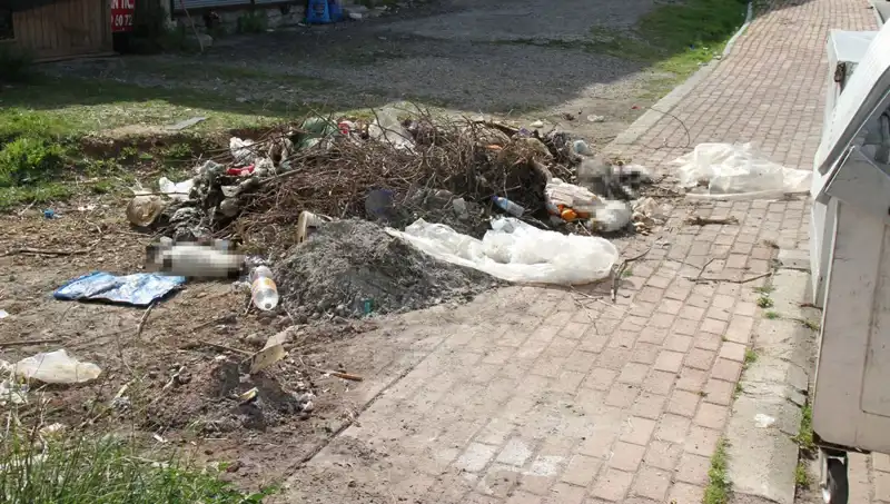Antalya'da Şok Edici Vahşet: 10 Kedi Ölü Bulundu!