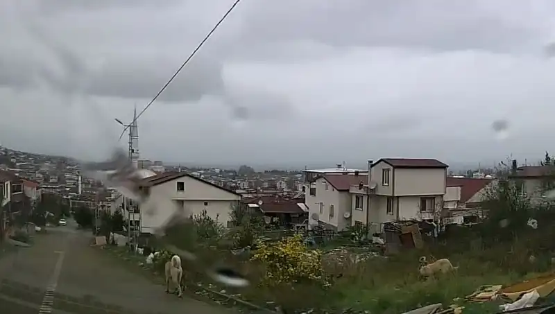 Genç Çocuk Sahipsiz Köpekler Tarafından Saldırıya Uğrayarak Ağır Yaralandı