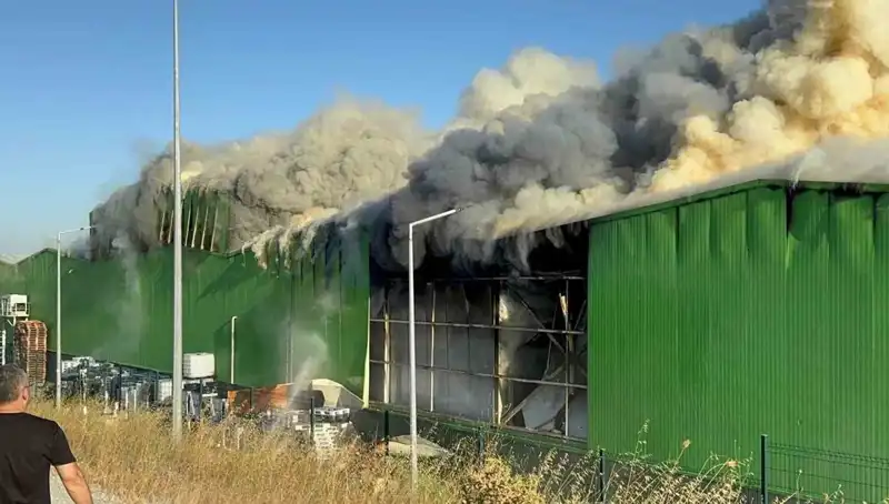 Balıkesir'de Fabrika Yangını: İki İşçi Hayatını Kaybetti, 1 Kişi Tutuklandı