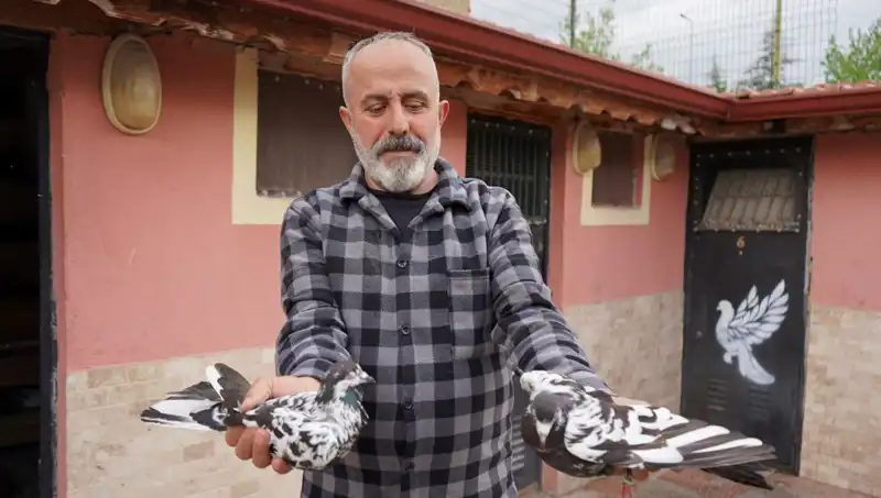 42 Yıllık Hobi, Artık Profesyonel Bir İşletme: İl Dışından Talep Yağmuruna Tutuldu