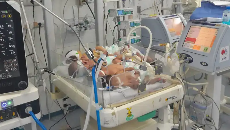 Gazzeli Doktorlar Çaresizlik İçinde: "Kuvözdeki Bebek Sayısı Artıyor"