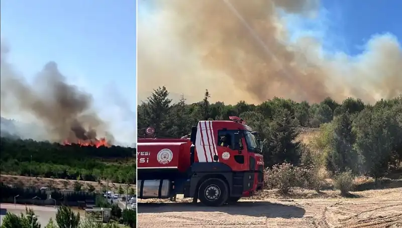 Gebze'de Çıkan Orman Yangınına Hızla Müdahale Edildi