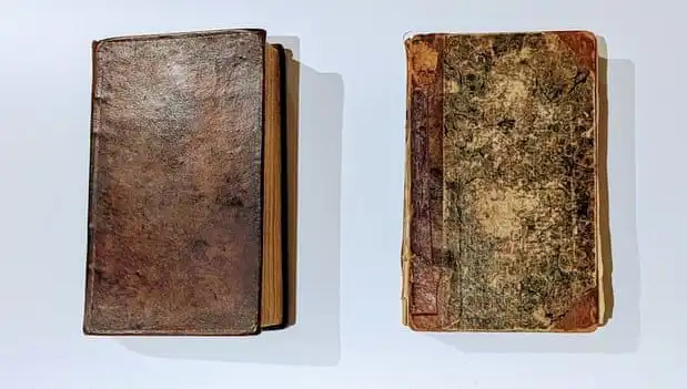 200 Yıllık Esrarengiz Sır: Katilin Derisiyle Yapılan Kitap Müze Raflarında