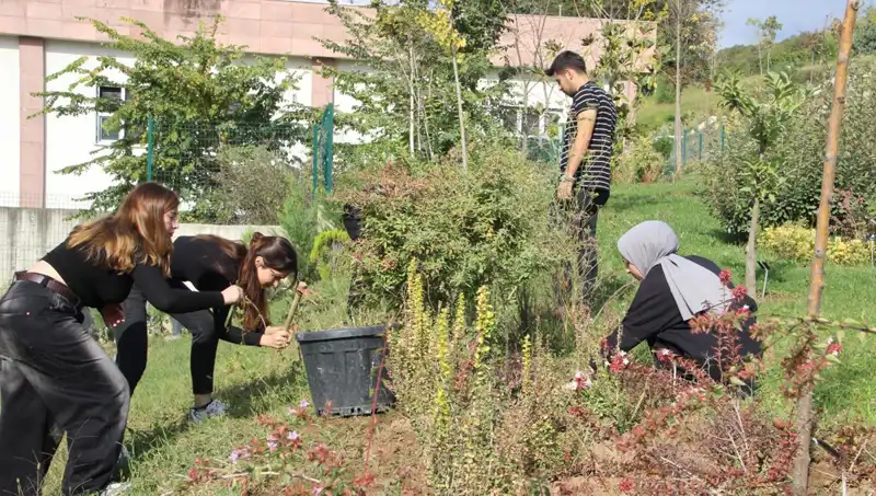 Düzce’nin Yüceliği: Hayalden Gerçeğe Dönüşen Uluslararası Başarı